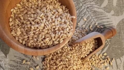 biji bijian utuh seperti barley merupakan jenis makanan sehat untuk jantung