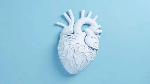 jenis penyakit jantung yang wajib kamu tahu