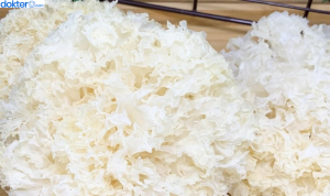 Manfaat Jamur Salju untuk Paru-paru
