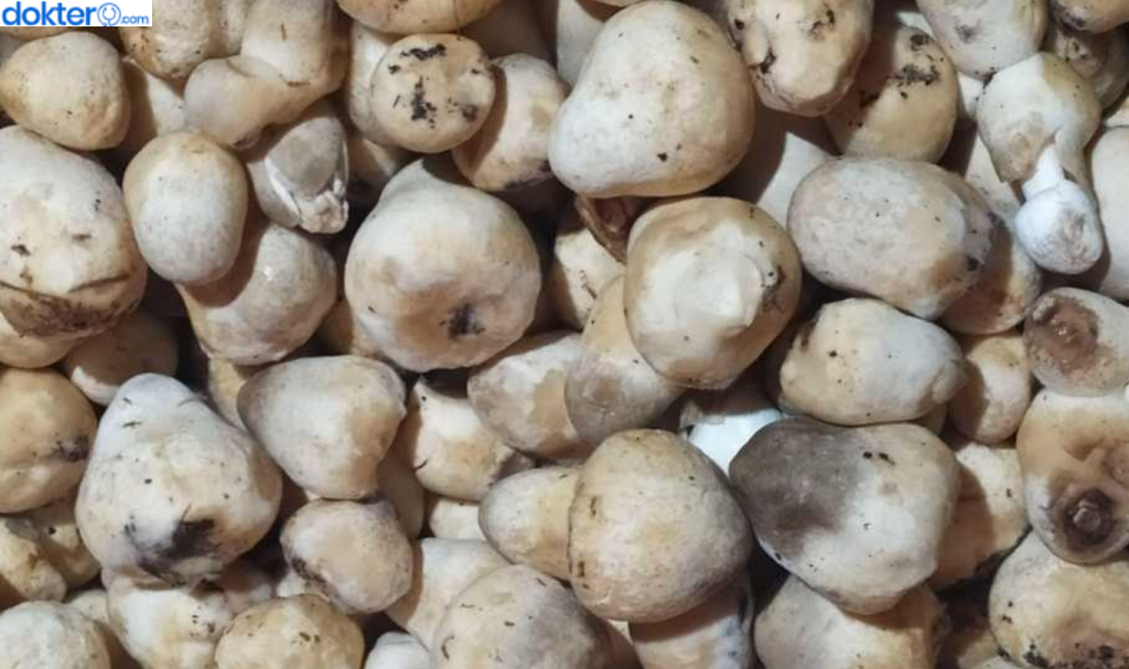 Manfaat Jamur Merang untuk Ibu Hamil